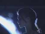 sfi2.jpg (8892 byte)